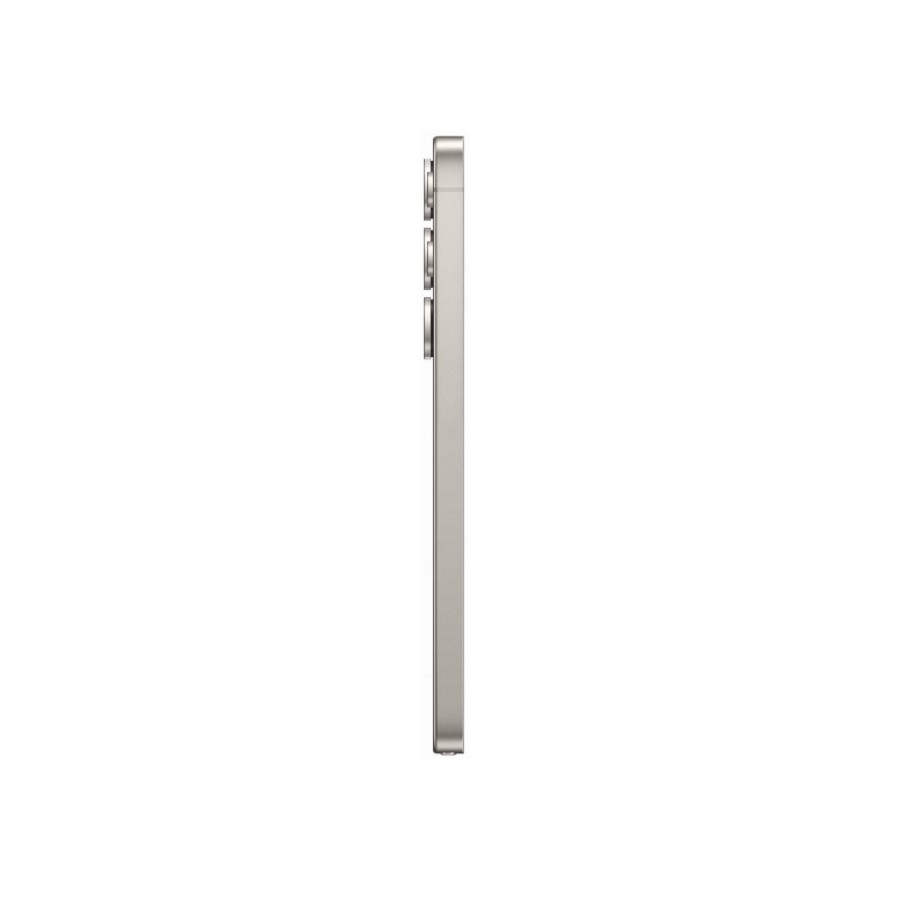 Samsung Galaxy S25 Ultra 12/256Gb ����� �����