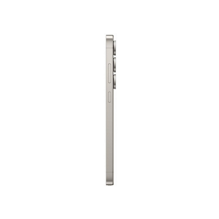 Samsung Galaxy S25 Ultra 12/1Tb ����� �����
